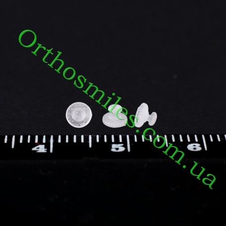 Лингвальная кнопка керамическая фото 1 — OrthoSmiles